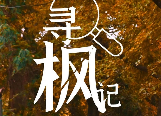ݡ㡱ѿģʽ򿨵¯