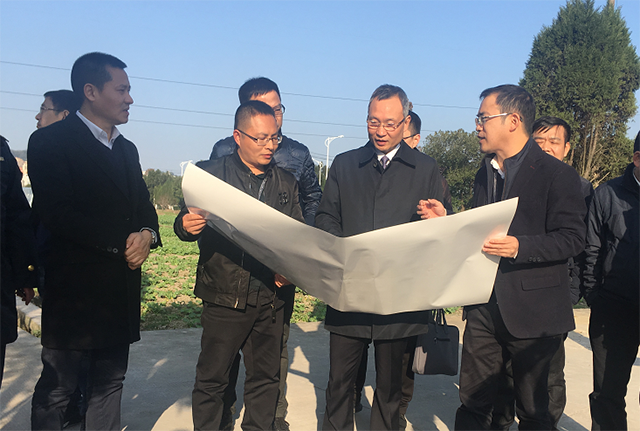 娄绍光督查美丽田园建设工作