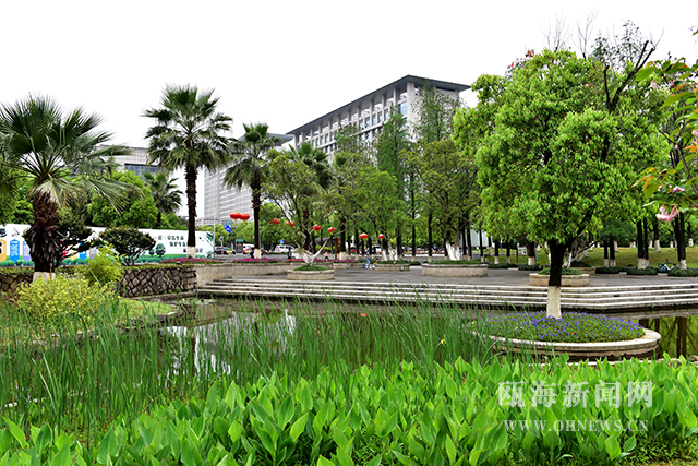 起舞叠翠处栖在水云间瓯摄会半塘园采风掠影