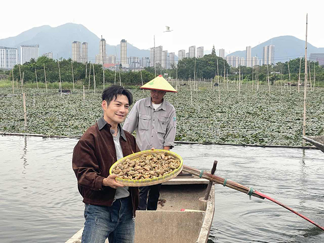 央视《寻味山海》节目组走进瓯海三垟湿地 体验菱角采摘 品尝菱角美味