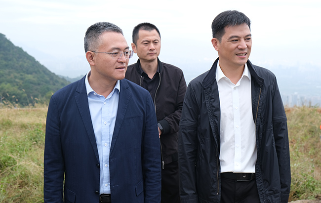 Ʒ嵽ɽֵжֳơﳤƹ ʵ̬ ɫչ