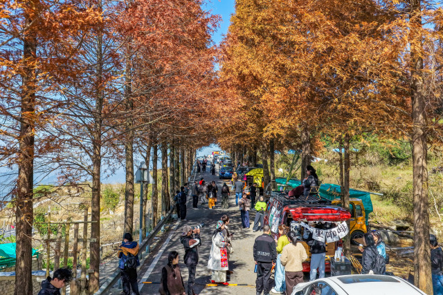 ޶桰˾ߣźɼ·㼴̳