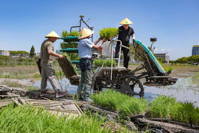 在瓯海看高质量发展这五年(2)丨乡村振兴,不止一种答案共富同途的瓯海解法