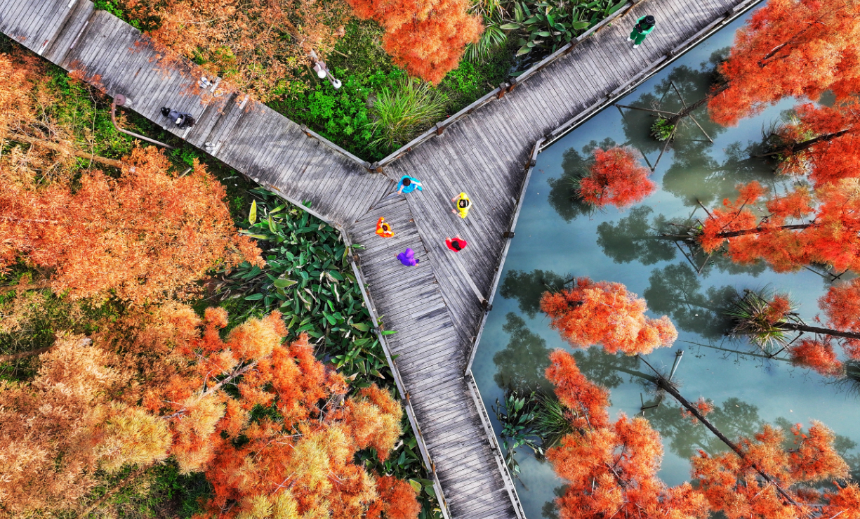 2025温州马拉松文旅优惠全放送,请查收!