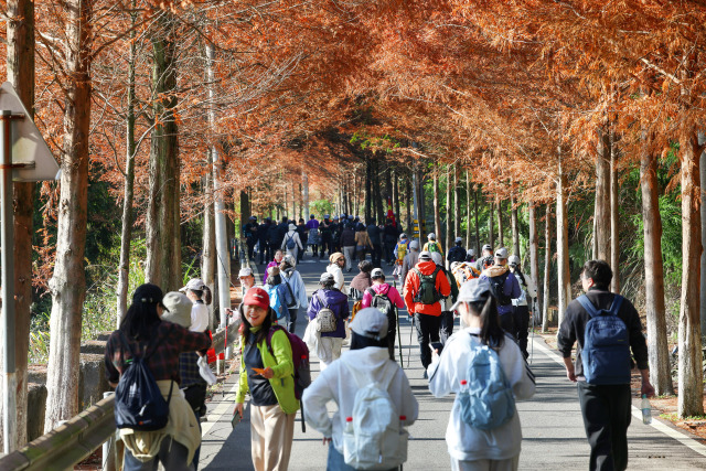 ǧͽȼŶϣʡIPɽˮʫ·