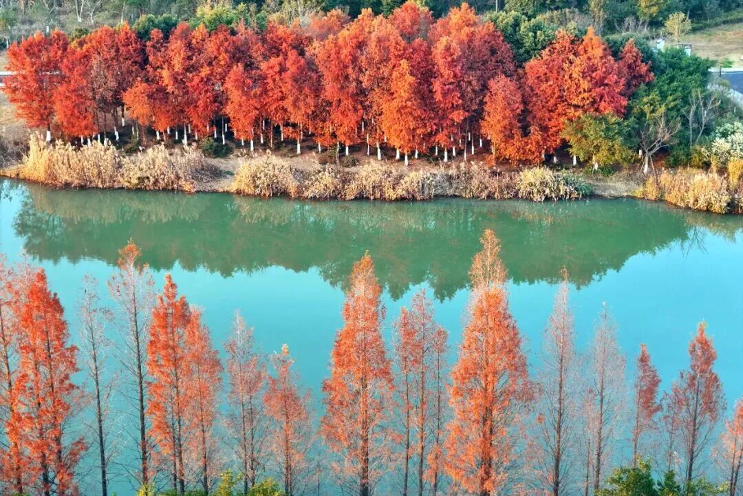 你的取景框里,不能没有温州的冬天