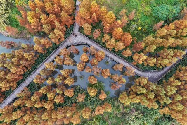 ����ʪ�ء���ɫ�̡����ߣ�����Ƭ