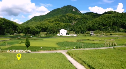 ���������ȵ�Ƭ