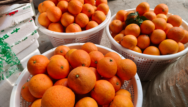 ���걺���ũ���������������ˡ�����·