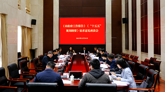 ���쵼��������������������漰��ʮ���塱�滮��Ҫ���