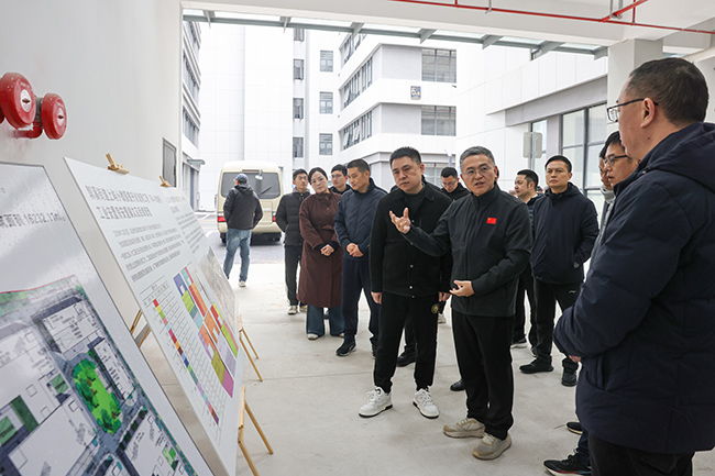 걺���2026�ꡰӭԪ�����ش���Ŀ������Ͷ�ã�