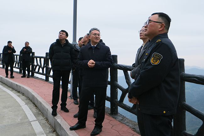 ���Ʒ忪չѲ���߶�������ɭ�ַ������