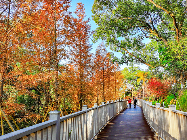 ��걺�����������չ�����꣨16��ح�����̬���� ����ɽˮ걺�