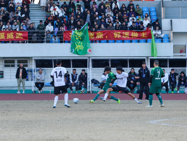 �������Σ���������