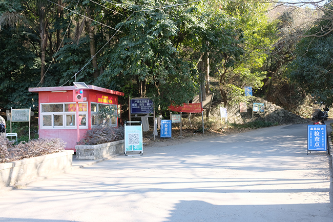 걺�����ල��ֱ��ɭ�ַ����