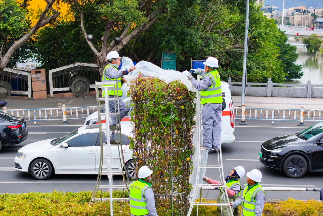 �������̣�ֲ�����ϡ���ů�¡�