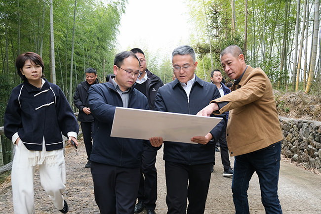 ���Ʒ�ר�������С�������ࡱ�ƽ���ͬ��ԣ����