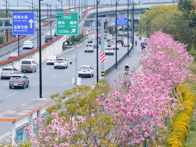 ����԰����걺��컨����ľ�ۺ���ϼ