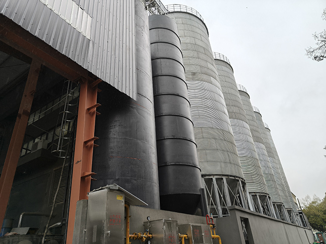 ��Ϊ԰��԰�����ڿռ䣬걺����������ҵ���һƬ�����