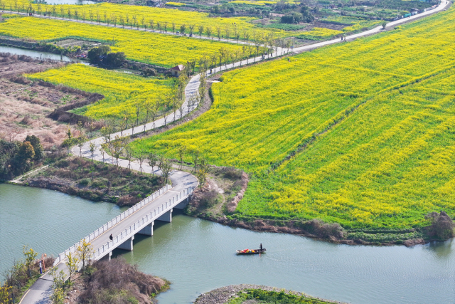 ���ƽ��ؾ���ʪ���Ͳ˻�Ѥ������