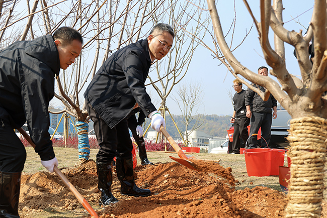 걺������װ����쵼��չ����ֲ���