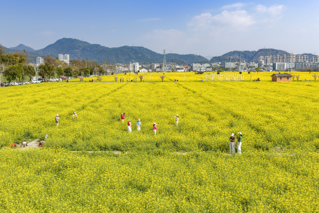 ��ĩ̤����걺� �����г�������