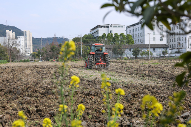 ��ţ���㡰�֡�����