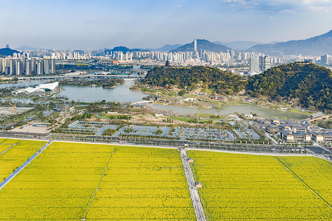 ���������첻���ˡ���걺���Ƭ�����ƻ������������´�