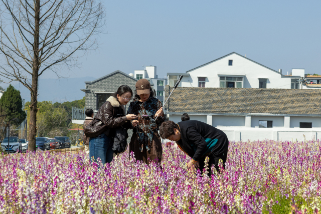 ����ɫ�����������㻨������԰��԰�ܱ�