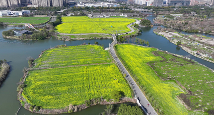 ���ƽ��ؾ���ʪ���Ͳ˻�Ѥ������