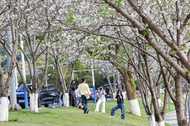 �����޶�������ӣ��������