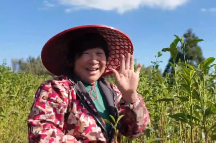 걺�����ɽ´��ǰ�迪�� ��ɽ�����������������㡱