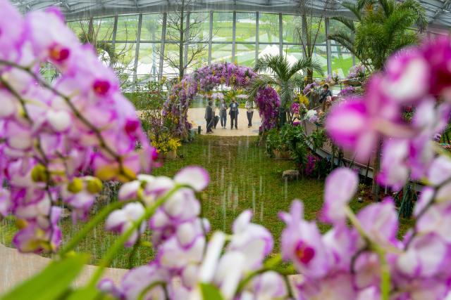 ������԰��԰�����족��ި��̽����Ȼ