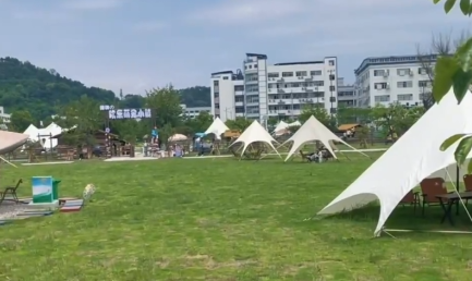 ���ޱ��صء�����԰��԰